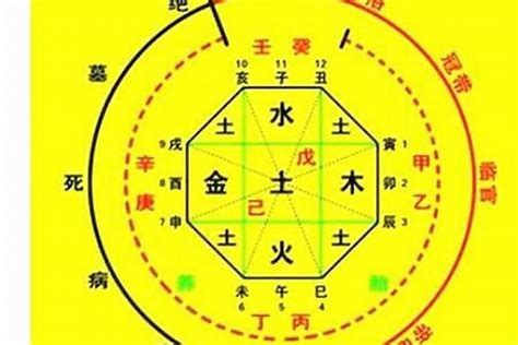 八字命理|八字算命器